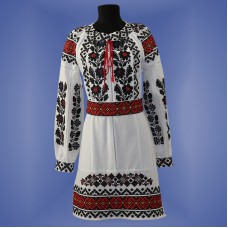 Embroidered dress "Borshivka New"
